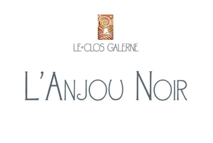 L'Anjou Noir - 2020 (BIO)